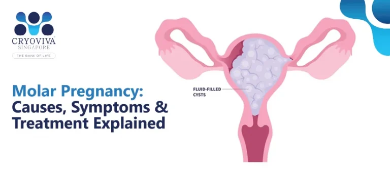 Molar Pregnancy: Causes, Symptoms, and Treatment Explained