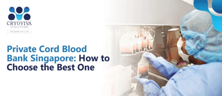 Private Cord Blood Bank Singapore: How to Choose the Best One